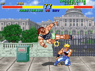 Fighter's History